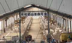 是以“诚信尚俭共享食安”为从题的2024年陕西省