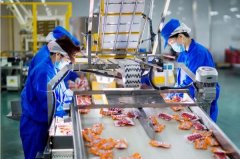 <b>这头羊”的义务感</b>